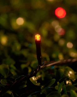 WeRChristmas LINK UP LED String Lights, Black Cable, Autumn Colour^ Link Up|Fairy Lights