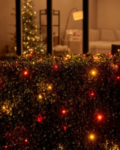 WeRChristmas LINK UP LED String Lights, Black Cable, Autumn Colour^ Link Up|Fairy Lights