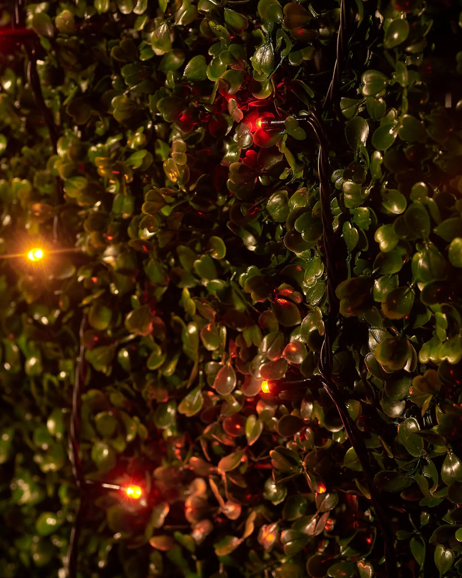 WeRChristmas LINK UP LED String Lights, Black Cable, Autumn Colour^ Link Up|Fairy Lights