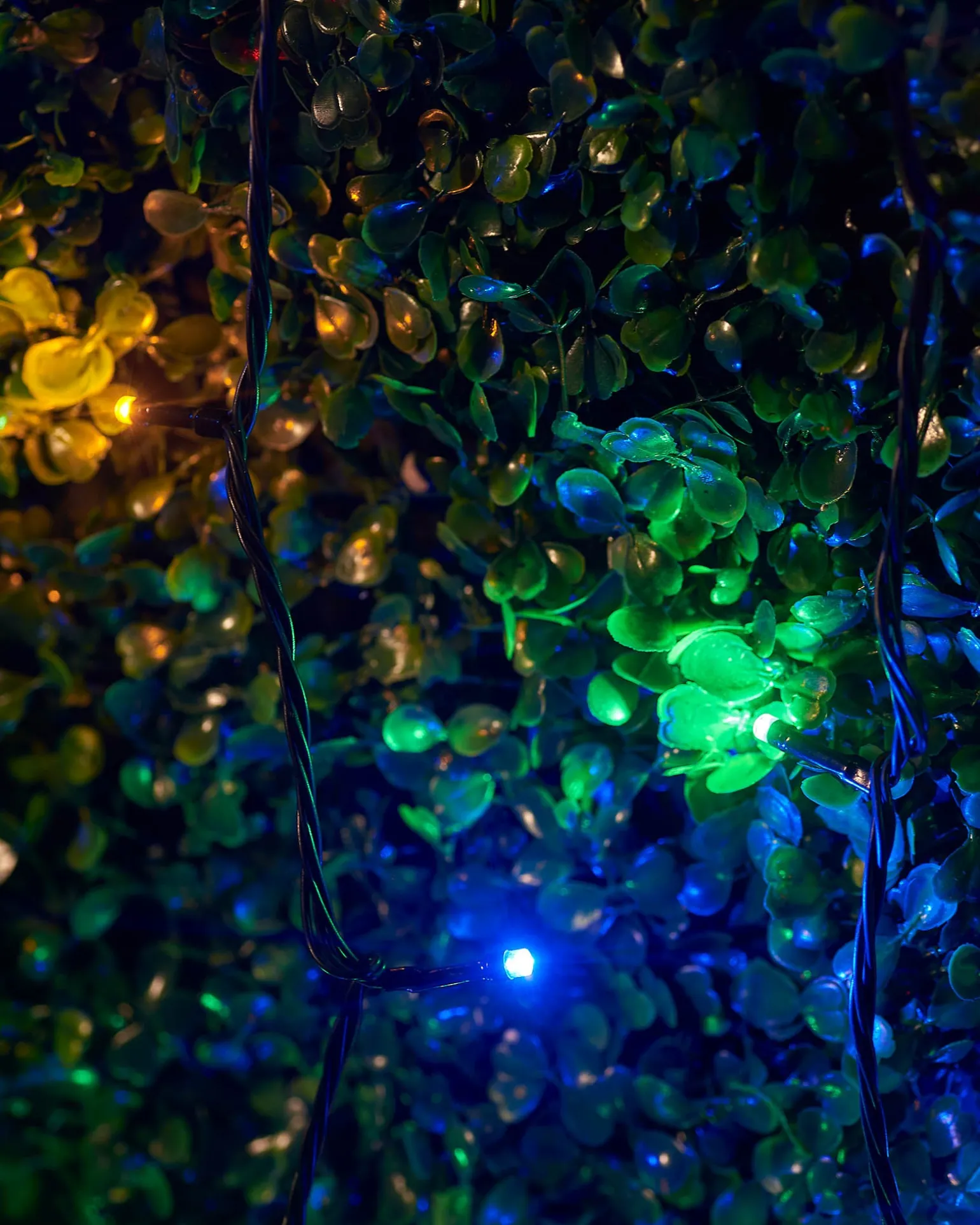 WeRChristmas LINK UP LED String Lights, Black Cable, Multi Colour^ Link Up|Fairy Lights