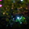 WeRChristmas LINK UP LED String Lights, Black Cable, Pink / White^ Link Up|Fairy Lights