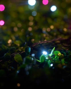 WeRChristmas LINK UP LED String Lights, Black Cable, Pink / White^ Link Up|Fairy Lights