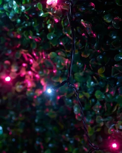WeRChristmas LINK UP LED String Lights, Black Cable, Pink / White^ Link Up|Fairy Lights
