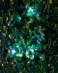 WeRChristmas LINK UP LED String Lights, Black Cable, White^ Link Up|Fairy Lights