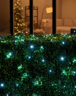 WeRChristmas LINK UP LED String Lights, Black Cable, White^ Link Up|Fairy Lights