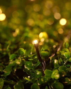 WeRChristmas LINK UP LED String Lights, Black Cable, Warm White^ Link Up|Fairy Lights