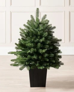 WeRChristmas Mixed Pine Traditional Potted Christmas Tree, 3 Ft^ Budget Christmas Trees|Potted Christmas Trees