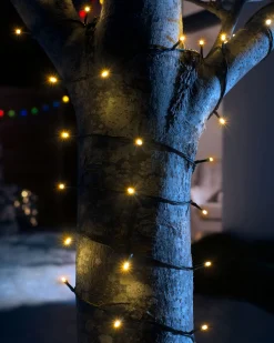 WeRChristmas Multi-Function 50 LED Connectable Light String, Warm White^ Connectable Lights