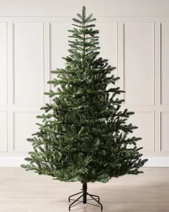 WeRChristmas Nordmann Fir Christmas Tree, 7 Ft^ Unlit Christmas Trees