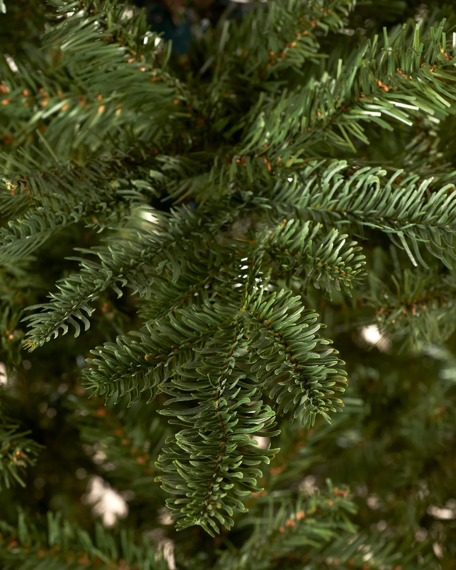 WeRChristmas Nordmann Fir Christmas Tree, 7 Ft^ Unlit Christmas Trees