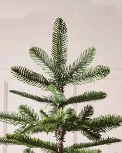 WeRChristmas Nordmann Fir Christmas Tree, 7 Ft^ Unlit Christmas Trees