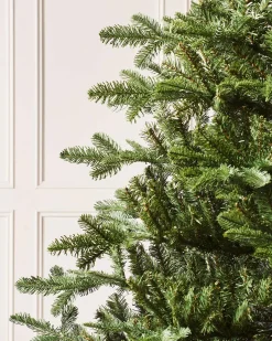 WeRChristmas Nordmann Fir Christmas Tree, 9 Ft^ Unlit Christmas Trees
