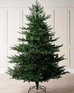 WeRChristmas Northern Fir Christmas Tree, 6 Ft^ Budget Christmas Trees|Unlit Christmas Trees