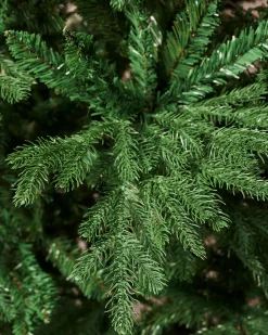 WeRChristmas Northern Fir Christmas Tree, 6 Ft^ Budget Christmas Trees|Unlit Christmas Trees