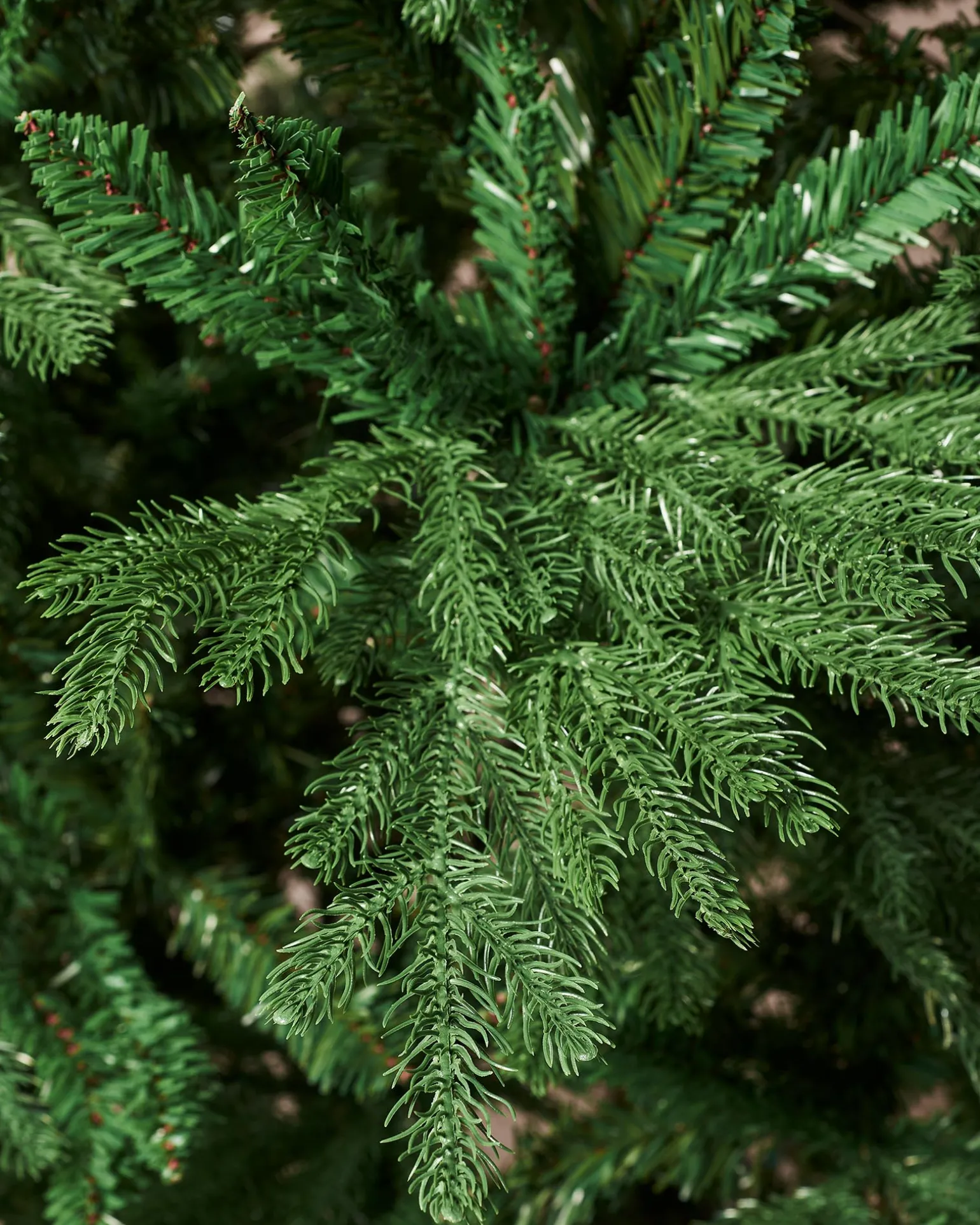WeRChristmas Northern Fir Christmas Tree, 6 Ft^ Budget Christmas Trees|Unlit Christmas Trees