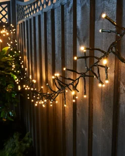 WeRChristmas Outdoor Cluster Multi-Function 500 LED Light String, Warm White^ Cluster Lights|Tree Lights