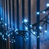 WeRChristmas Outdoor Cluster Multi-Function 500 LED Light String, Ice White^ Cluster Lights|Tree Lights