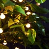 WeRChristmas Outdoor Multi-Function 100 Berry LED Light String, Warm White^ Fairy Lights|Tree Lights