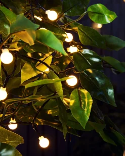 WeRChristmas Outdoor Multi-Function 100 Berry LED Light String, Warm White^ Fairy Lights|Tree Lights