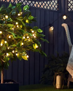 WeRChristmas Outdoor Multi-Function 100 Berry LED Light String, Warm White^ Fairy Lights|Tree Lights