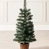 WeRChristmas Potted Craford Blue Pine Decorated Christmas Tree, 3 Ft^ Budget Christmas Trees|Potted Christmas Trees
