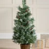 WeRChristmas Potted Scandinavian Blue Spruce Christmas Tree, 3 Ft^ Budget Christmas Trees|Potted Christmas Trees
