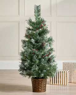 WeRChristmas Potted Scandinavian Blue Spruce Christmas Tree, 3 Ft^ Budget Christmas Trees|Potted Christmas Trees