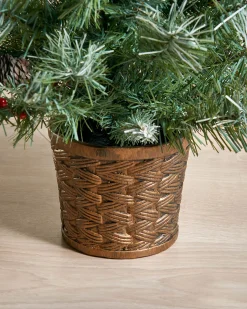 WeRChristmas Potted Scandinavian Blue Spruce Christmas Tree, 3 Ft^ Budget Christmas Trees|Potted Christmas Trees