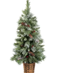 WeRChristmas Potted Scandinavian Blue Spruce Christmas Tree, 3 Ft^ Budget Christmas Trees|Potted Christmas Trees