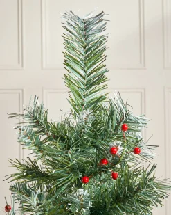 WeRChristmas Potted Scandinavian Blue Spruce Christmas Tree, 3 Ft^ Budget Christmas Trees|Potted Christmas Trees