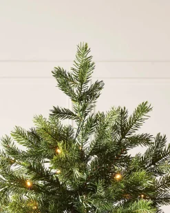 WeRChristmas Pre-Lit Balsam Fir Christmas Tree, 6 Ft^ Premium Christmas Trees|Pre Lit Christmas Trees