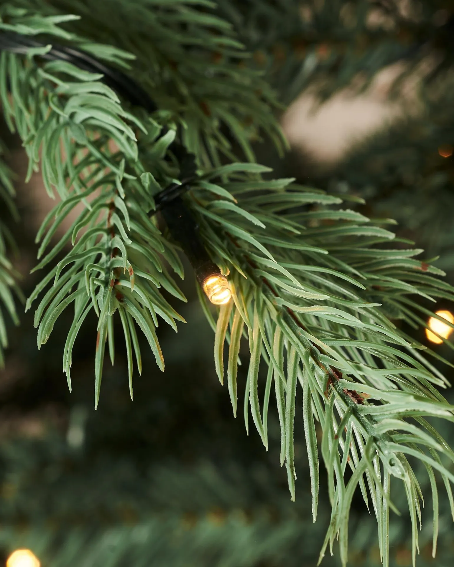 WeRChristmas Pre-Lit Colorado Blue Spruce Christmas Tree, 7 Ft^ Premium Christmas Trees|Pre Lit Christmas Trees