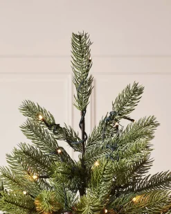 WeRChristmas Pre-Lit Craford Pine Christmas Tree, 10 Ft^ Premium Christmas Trees|Pre Lit Christmas Trees