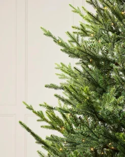 WeRChristmas Pre-Lit Douglas Fir Christmas Tree, 9 Ft^ Premium Christmas Trees|Pre Lit Christmas Trees