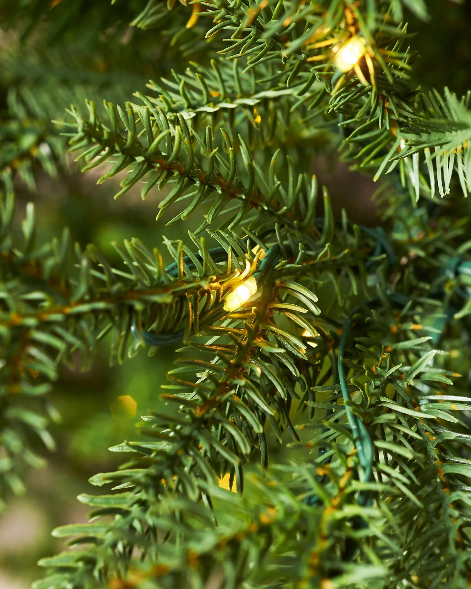 WeRChristmas Pre-Lit Douglas Fir Christmas Tree, 9 Ft^ Premium Christmas Trees|Pre Lit Christmas Trees