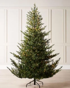 WeRChristmas Pre-Lit Douglas Fir Christmas Tree, 6 Ft^ Premium Christmas Trees|Pre Lit Christmas Trees
