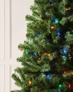 WeRChristmas Pre-Lit Emerald Spruce Christmas Tree, Multi Colour, 6 Ft^ Budget Christmas Trees|Pre Lit Christmas Trees