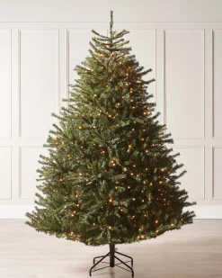 WeRChristmas Pre-Lit Foxtail Pine Christmas Tree, 6 Ft^ Premium Christmas Trees|Pre Lit Christmas Trees