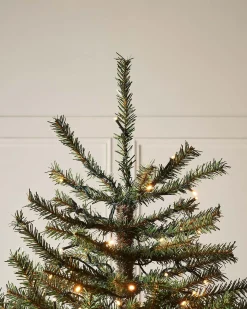 WeRChristmas Pre-Lit Foxtail Pine Christmas Tree, 6 Ft^ Premium Christmas Trees|Pre Lit Christmas Trees