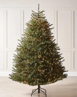 WeRChristmas Pre-Lit Foxtail Pine Christmas Tree, 7 Ft^ Premium Christmas Trees|Pre Lit Christmas Trees