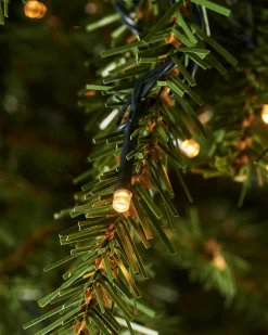 WeRChristmas Pre-Lit Foxtail Pine Christmas Tree, 7 Ft^ Premium Christmas Trees|Pre Lit Christmas Trees