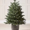 WeRChristmas Pre-Lit Frosted Potted Christmas Tree, 3.5 Ft^ Budget Christmas Trees|Potted Christmas Trees