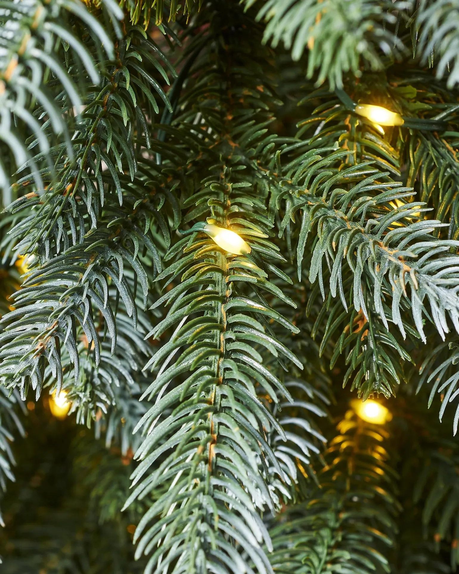 WeRChristmas Pre-Lit Frosted Potted Christmas Tree, 3.5 Ft^ Budget Christmas Trees|Potted Christmas Trees