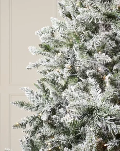 WeRChristmas Pre-Lit Full Bodied Snow Flocked Christmas Tree, 5 Ft^ Budget Christmas Trees|Snow Flocked Christmas Trees