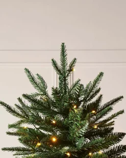 WeRChristmas Pre-lit Grand Alaskan Fir Christmas Tree, Dual Multi Colour, 6 Ft^ Premium Christmas Trees|Pre Lit Christmas Trees