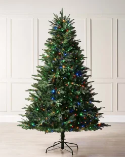 WeRChristmas Pre-lit Grand Alaskan Fir Christmas Tree, Dual Multi Colour, 8 Ft^ Premium Christmas Trees|Pre Lit Christmas Trees