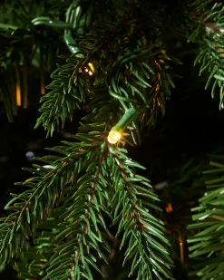 WeRChristmas Pre-lit Grand Alaskan Fir Christmas Tree, Dual Multi Colour, 8 Ft^ Premium Christmas Trees|Pre Lit Christmas Trees