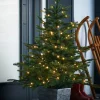 WeRChristmas Pre-Lit Grand Fir Potted Christmas Tree, 4 Ft^ Budget Christmas Trees|Potted Christmas Trees