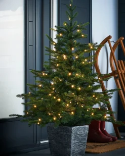 WeRChristmas Pre-Lit Grand Fir Potted Christmas Tree, 4 Ft^ Budget Christmas Trees|Potted Christmas Trees