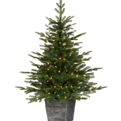 WeRChristmas Pre-Lit Grand Fir Potted Christmas Tree, 4 Ft^ Budget Christmas Trees|Potted Christmas Trees